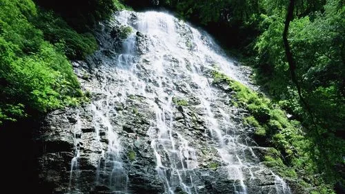 高标准智慧高端